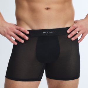 SHEER FOR IT BOXER BRIEFS