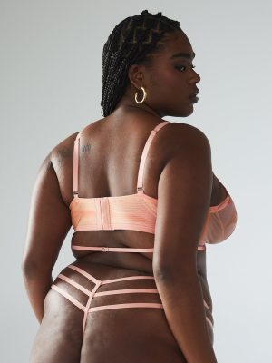 Beneath The Surface Embroidered Triangle Bralette