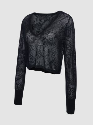 Luxe Lace Sheer Knit V-Neck Sweater