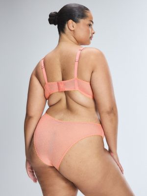 Mesh Around Cheeky Panty