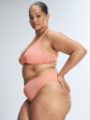 Mesh Around Cheeky Panty