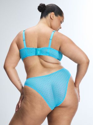 Mesh Around Cheeky Panty