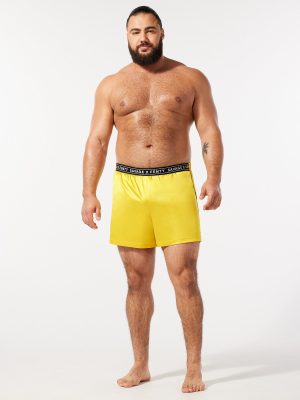 Sexties Satin Sleep Short