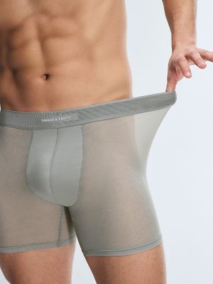 Sheer For It Boxer Briefs