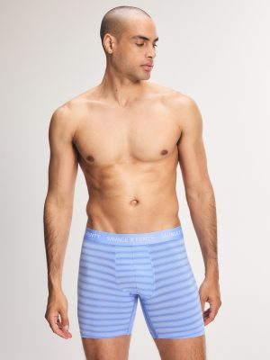 Sheer Line Boxer Briefs