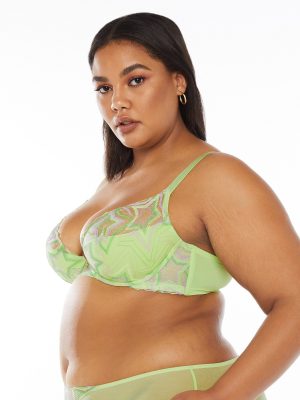 Shining Star Embroidered Half Cup Plunge Bra